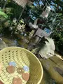 江島神社 辺津宮の写真_436824