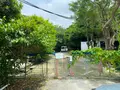 シオン警察犬訓練所の写真_436949