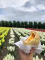 ファーム富田の写真_436950