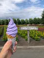 ファーム富田の写真_436952