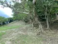 玉城城跡の写真_436960