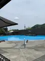 Wonderful Nature Village（わんダフルネイチャーヴィレッジ）の写真_436976