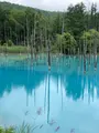 白金青い池の写真_437000