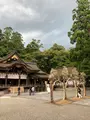 大神神社の写真_437135