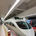小田急ロマンスカーの写真_437201