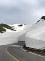 雪の大谷の写真_437210