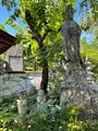無量山 西光寺の写真_437771
