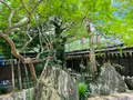 護王神社の写真_437869