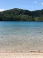 潟沼の写真_437950