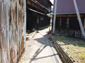 真鍋島の写真_438192