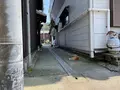 真鍋島の写真_438193