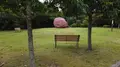 鷺湯公園の写真_438200