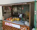 大芝島の写真_438213
