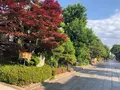 善光寺の写真_438397