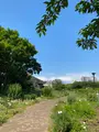 木場公園の写真_438430
