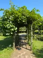 木場公園の写真_438432