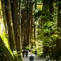 戸隠神社の写真_438447
