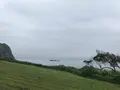 大房岬自然公園の写真_439788
