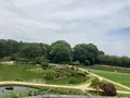 岡山後楽園の写真_439906
