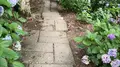 吉備津神社の写真_440059