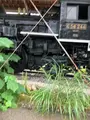 蒸気機関車 C58-244の写真_440119