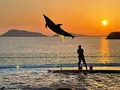四国水族館の写真_440834