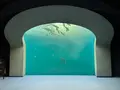 四国水族館の写真_440835