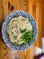 さか枝うどん 本店の写真_442016