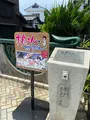 お花キツネの写真_442127