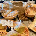 クラブハリエ ジュブリルタンの写真_442164