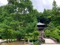 知恩院の写真_442353