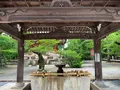 知恩院の写真_442359