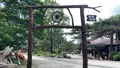 那須高原南ヶ丘牧場の写真_444584