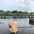 高岡おとぎの森公園の写真_444991