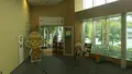 今城塚古代歴史館の写真_447255