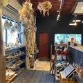 Zakka shop aet▲の写真_447261