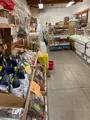 湯来特産品市場館の写真_448196