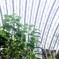 台北市立動物園の写真_448373