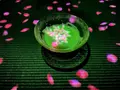 【閉業】森ビルデジタルアートミュージアム：エプソン チームラボボーダレス（MORI Building Digital Art Museum: EPSON teamLab Borderless）の写真_448743