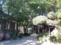 伝統茶院/チョントンタウォン/전통다원の写真_448901