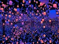 【閉業】森ビルデジタルアートミュージアム：エプソン チームラボボーダレス（MORI Building Digital Art Museum: EPSON teamLab Borderless）の写真_448911