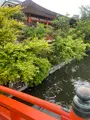 神泉苑の写真_449016