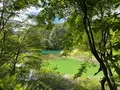 五色沼の写真_449066