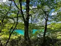 五色沼の写真_449067