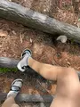 大高森の写真_449088