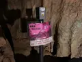 満奇洞の写真_449433