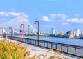 浜江大道の写真_449652