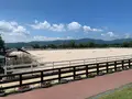 蒜山ホースパークの写真_449771