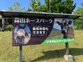 蒜山ホースパークの写真_449896