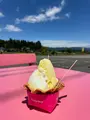 honeybee本店の写真_450030